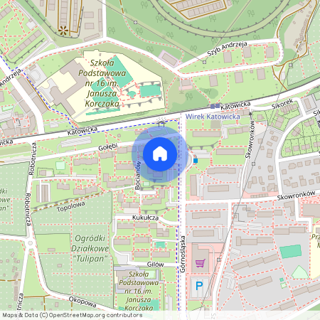 BOCIANÓW, Ruda Śląska M., Ruda Śląska, Wirek