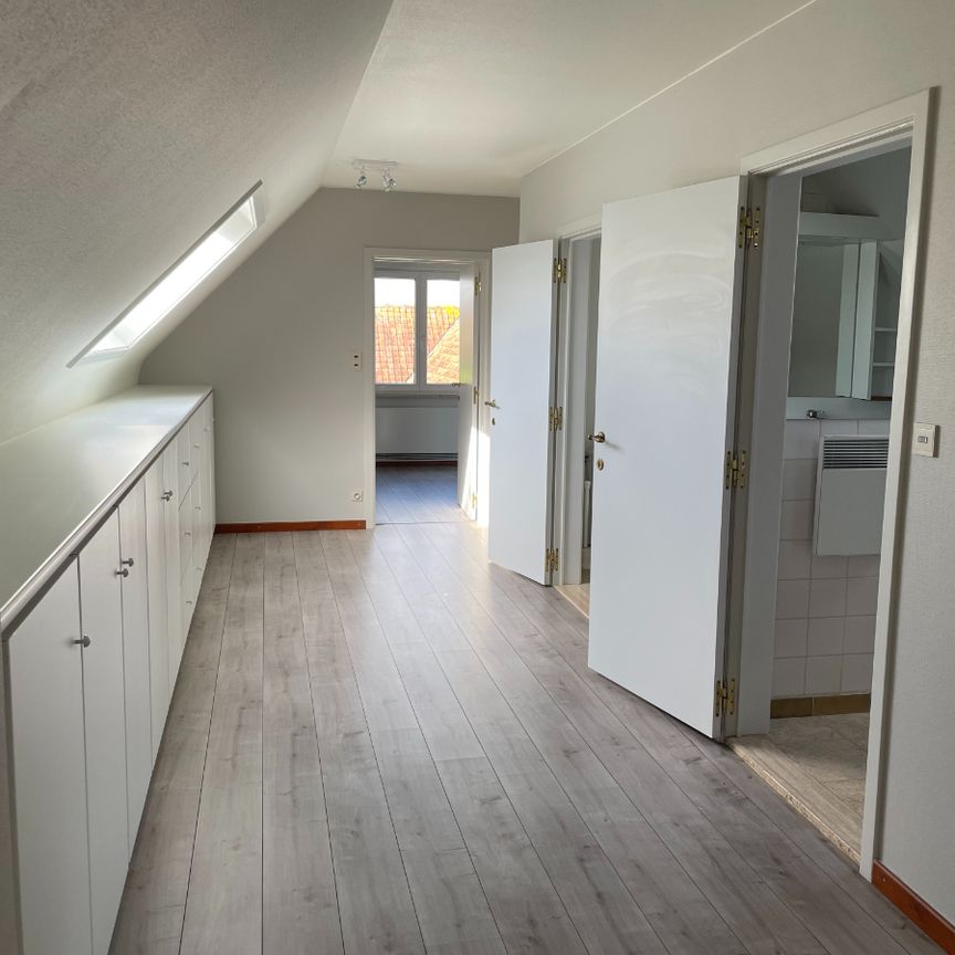 VILLA + kleine weide - Photo 1