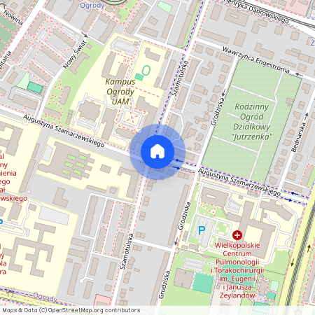 ul. Augustyna Szamarzewskiego, Jeżyce, Jeżyce, Poznań, wielkopolskie