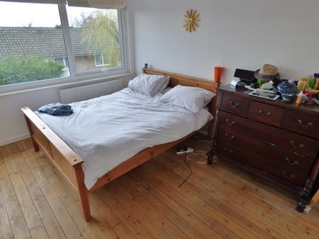 Oaks Avenue - Photo 3