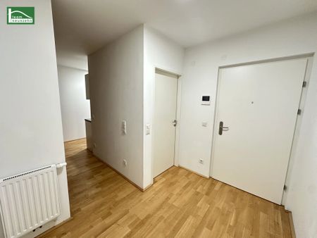 LEO 131 - Traumhafte 1.5-Zimmer Gartenwohnung in Hofruhelage! Nahe Siemens, Floridsdorf und vielen Grünflächen! - Photo 3