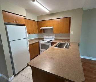 Yonge & Sheppard Beautiful 2Bdrm Open Concept All Utilities Included - Photo 2