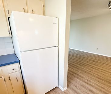 Main Floor Bowness Duplex: Utilities Included. - Photo 1