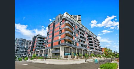 2 Storey 3 Bedroom Apartment with North Facing Courtyard (Enter Via Lapwing St) - Photo 5