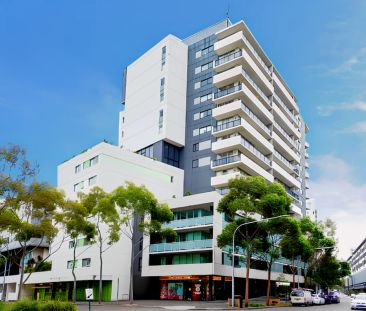 3 Defries Ave, Sydney - Photo 2