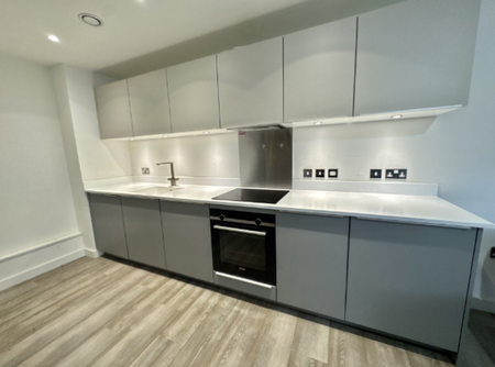 Sheepcote Street, Property for rent - Photo 3