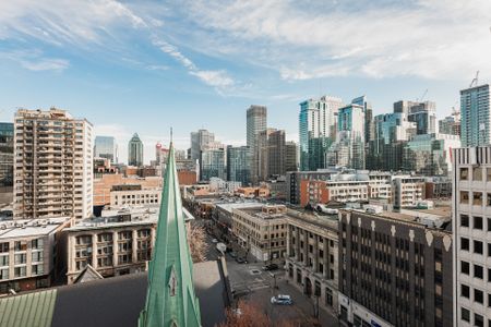 Condo à louer, Montréal (Ville-Marie) - Photo 5