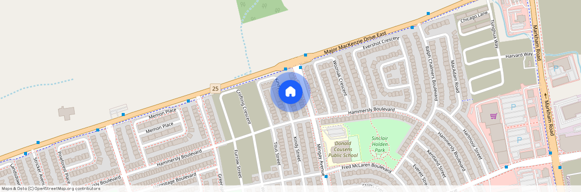 64 Collier Crescent, Markham