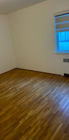 Extra large one bedroom renovated hardwood - Photo 1