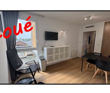 HAUT d'IDRON, Au Calme, T1 BIS Meublé en Résidence récente avec cli... - Photo 3