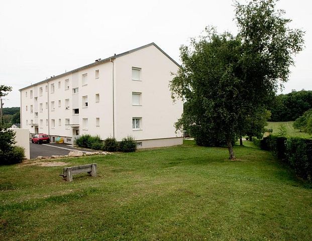 45500017 – Appartement – F2 – Pfetterhouse (68480) - Photo 1