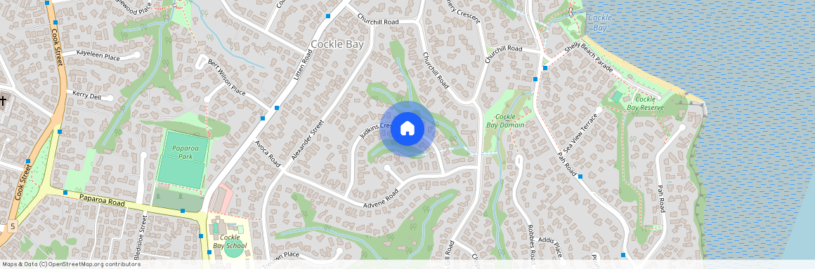 29A Judkins Crescent, Cockle Bay, Manukau City