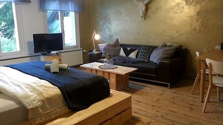 1 Zimmer-Wohnung in Steckborn (TG), möbliert - Foto 4