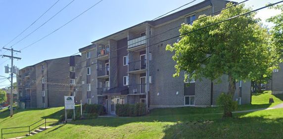 BEAU 5½ | RÉNOVATION À VENIR|TOUT INCLUS - Photo 2