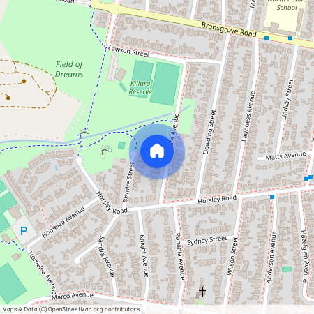 34 Killara Avenue, Panania