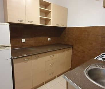 Radom Borki, 1905 Roku - Photo 4