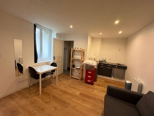 Location Appartement 1 pièce 20m² ST ETIENNE 42000 - Photo 1