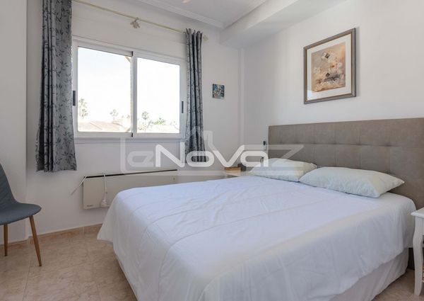 Renovated apartments in Villamar