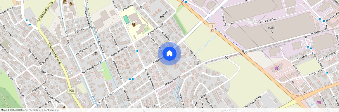 Anglikerstrasse 54, 5612 Villmergen