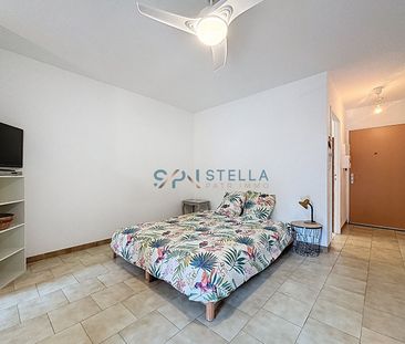 T1 meublé avec terrasse secteur laetitia, - Photo 1