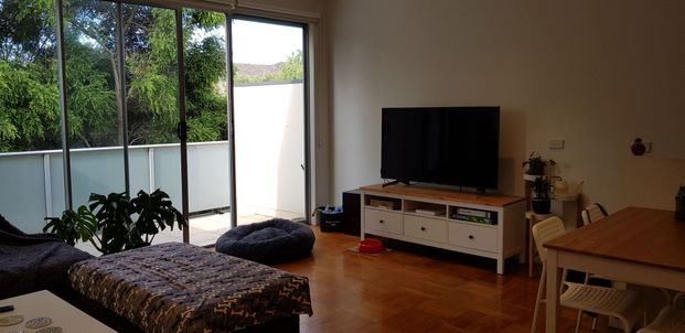 7/293-295 Hawthorn Road, Caulfield, VIC 3162 - Photo 1