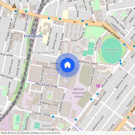 88 Metters Street, NSW 2043, Erskineville