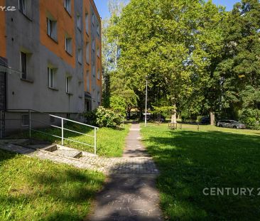 Pronájem bytu 1+1 38 m² - Photo 6