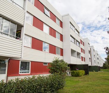 Hamnplan 14 B, 94161, Piteå - Foto 5
