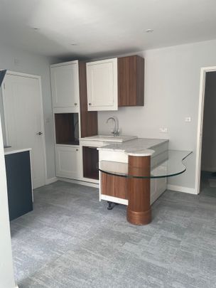 1 Bed Flat, Green Lane, S3 - Photo 1