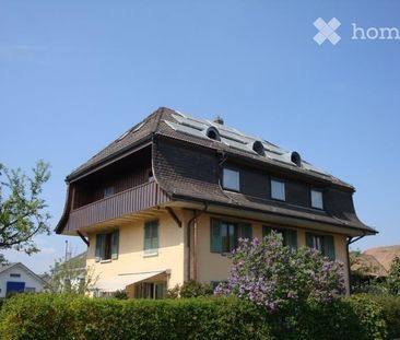 4.5 Zimmerwohnung EG, gross und hell - Photo 3