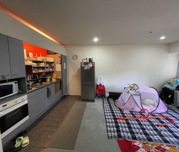 Central Wellington Apartment - Photo 4