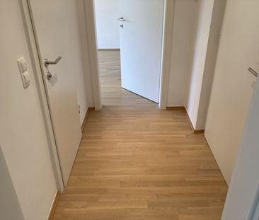 Ruhelage: Schöne 2-Zimmer-Wohnung mit separater Küche nahe Belvedere - Foto 3