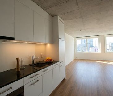 Moderne 2.5 ZWG avec immense terrasse partagée sur le toit - Photo 6