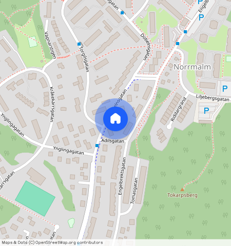 Borås, Döbelnsgatan, **, 50638