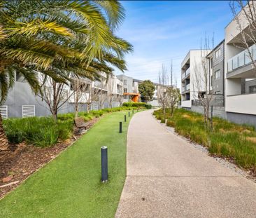 120/60 Autumn Terrace, Clayton South VIC 3169 - Apartment For Rent ... - Photo 5