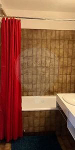 Appartement 1 chambre(s) à louer - Toulouse - Photo 4