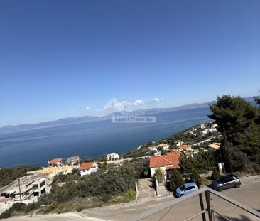 Μεζονέτα για ενοικίαση Θεολόγος (Μαλεσίνα) - Φωτογραφία 2