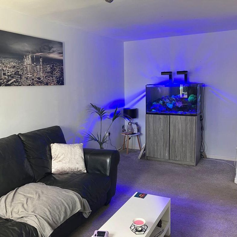 Swinley Crescent, Ashington , Ashington, Northumberland, NE63 9NR - Photo 1