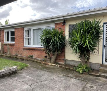 2/51 Tripoli Road, Panmure, Auckland 1072 - Photo 5