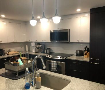 The Pearl Apartments — Suite 302 - Photo 4