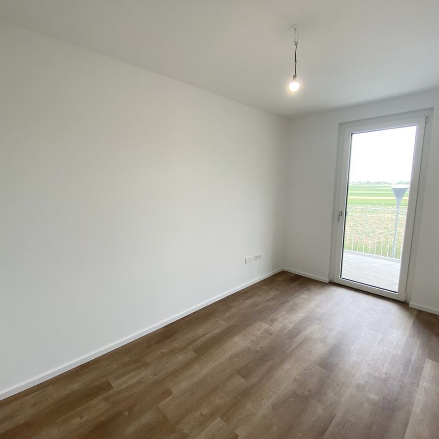 Lebensqualität im Grünen: Moderne Mietwohnungen mit Top-Ausstattung - Foto 1