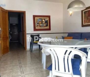 Piso en alquiler en Tejina-Valle de Guerra-Punta del Hidalgo-Bajamar - Foto 5