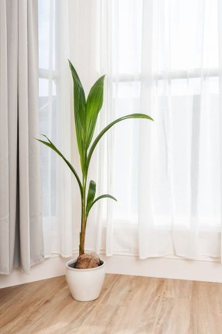 6 Bed Terraced House, Chester Road, M16 - Photo 2