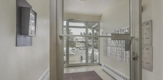 11th Avenue Apartments - Photo 2