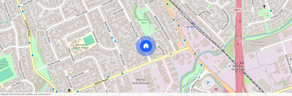 7 Christmas Road, 2102, Manurewa