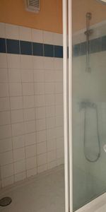 Location Appartement 1 pièce 26m² TOURS 37200 - Photo 3