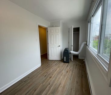 For Lease - 296 St Patrick Street Unit# 3, Lower Town - Sandy Hill,... - Photo 2