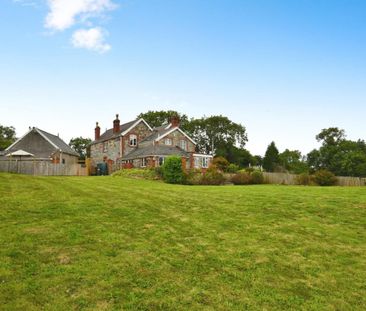 3 bedroom House To Let - Photo 4