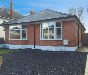 Rare detached large bungalow to let in Southbourne - Photo 3