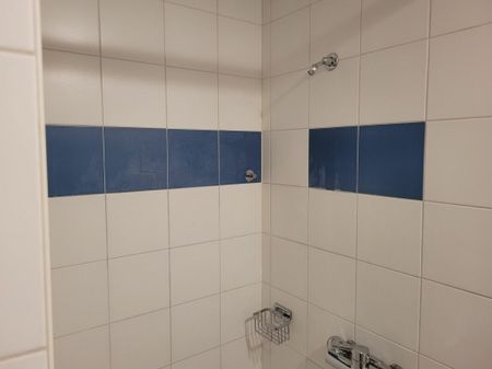 Chemin des Carabiniers 1, 4.5 pièces au 3ème Sud - Foto 5